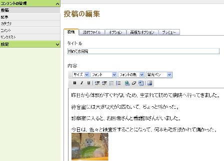 ［記事の編集］画面